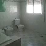 Rent 2 bedroom apartment of 90 m² in Cadiz']