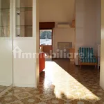 Rent 2 bedroom apartment of 70 m² in Monza