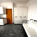 Rent 1 bedroom apartment of 25 m² in Milan