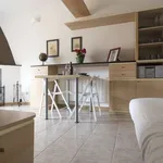 Rent 1 bedroom apartment of 45 m² in milan