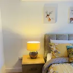 Rent 1 bedroom apartment of 45 m² in dublin