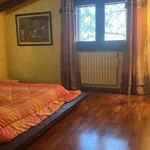 Rent 1 bedroom house in Nicolosi