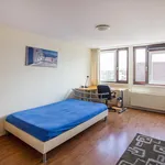 Huur 3 slaapkamer appartement van 135 m² in Visserijbuurt