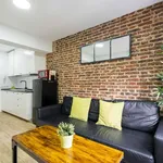 Rent 1 bedroom apartment of 60 m² in madrid