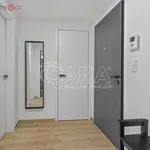 Rent 2 bedroom apartment of 50 m² in Trhový Štěpánov