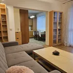 Rent 1 bedroom apartment of 52 m² in Brno