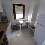 Rent 1 bedroom apartment of 35 m² in Pomezia