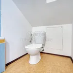 Rent 1 bedroom apartment of 45 m² in Plzeň