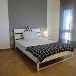 Rent 7 bedroom apartment in Padua