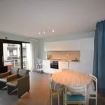 Rent 1 bedroom apartment in Oostduinkerke