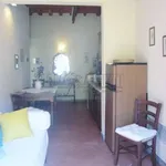 Rent 2 bedroom apartment of 50 m² in Firenze