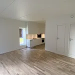 Lej 1-værelses lejlighed på 49 m² i Randers C