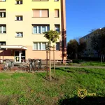 Rent 3 bedroom apartment of 53 m² in Leszno