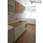 Rent 1 bedroom apartment in Ostrava