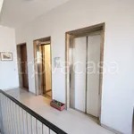 Rent 2 bedroom apartment of 62 m² in Milano