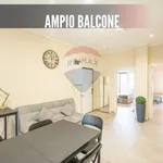 Rent 1 bedroom apartment of 17 m² in Milano