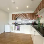 Rent 1 bedroom apartment in Winchester