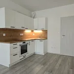 Pronajměte si 1 ložnic/e byt o rozloze 30 m² v Pilsen