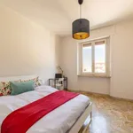 Rent a room in florence