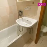 Rent 1 bedroom apartment of 21 m² in Kadaň