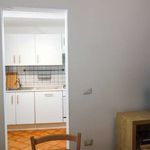 Rent 2 bedroom apartment of 85 m² in Roma