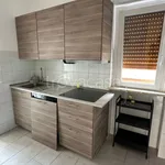 Rent 1 bedroom apartment of 110 m² in Novara