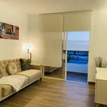 Rent 1 bedroom apartment in Tenerife']