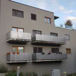 Rent 1 bedroom apartment of 36 m² in  ulice Pastviny