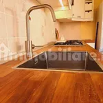 Rent 2 bedroom apartment of 55 m² in Prato