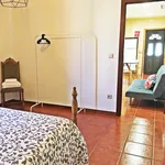 Alugar 1 quarto casa em Braga