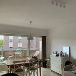 Rent 1 bedroom apartment in Leuven