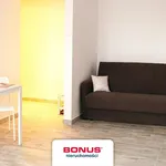 Rent 1 bedroom apartment of 30 m² in Poznan