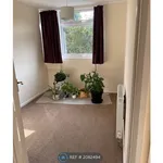 Rent 3 bedroom house in Cambridge