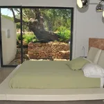 Rent 3 bedroom house of 350 m² in Ibiza']