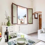 Rent 3 bedroom apartment of 50 m² in Firenze