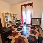 Rent 2 bedroom apartment of 50 m² in Milano