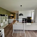 Rent 2 bedroom apartment of 50 m² in Laanhuizen