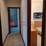 Rent 5 bedroom apartment of 90 m² in Pisa