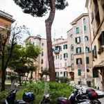 Rent 4 bedroom apartment in Rome