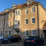 Rent 1 bedroom apartment in East Of England