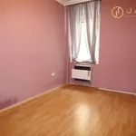 Pronájem 1+1, 30 m2, Lidická, Chomutov