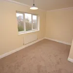 Rent 4 bedroom house in Chelmsford