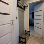 Rent 2 bedroom apartment of 45 m² in Katowice