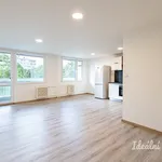 Rent 3 bedroom apartment in Praha 4