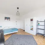 Louez une chambre de 95 m² à Strasbourg