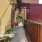 Rent 2 bedroom apartment of 50 m² in Milano