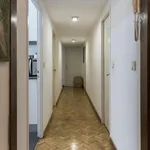 Rent 4 bedroom apartment in Madrid