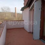 Rent 2 bedroom apartment of 50 m² in Poppi