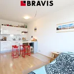 Rent 1 bedroom apartment of 29 m² in Brno