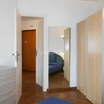 Rent 2 bedroom apartment of 35 m² in Pisa